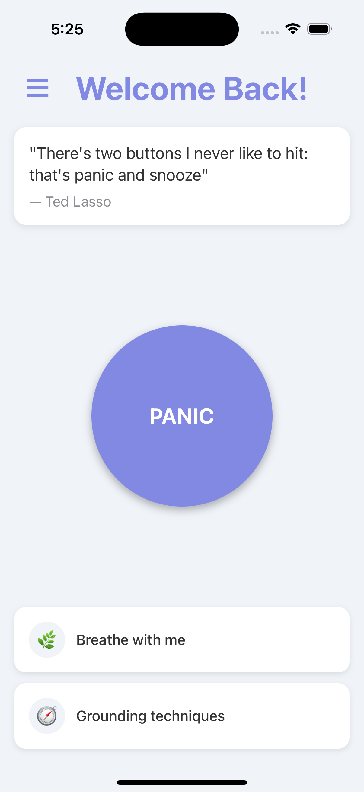 Panic Button App Preview